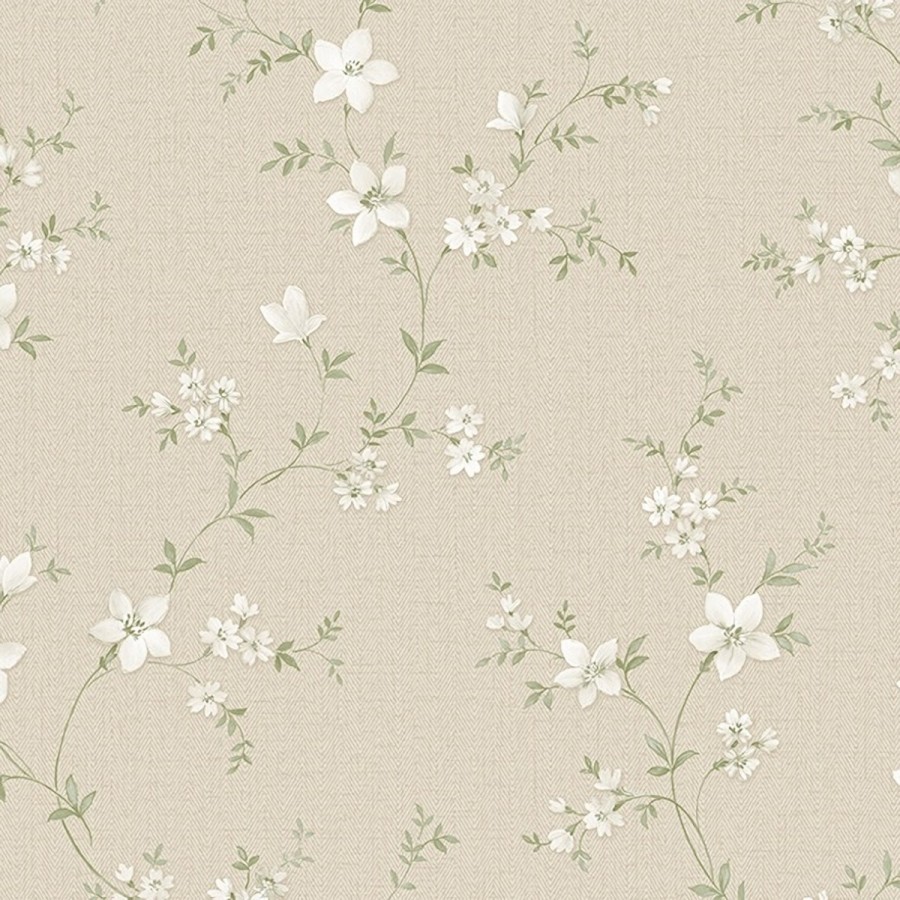 Обои Alessandro Allori Bruni 1001-2 Обои Alessandro Allori Bruni 1001-2