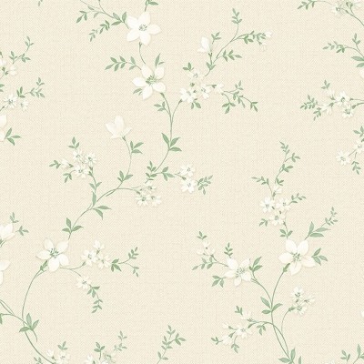 Обои Alessandro Allori Bruni 1001-1