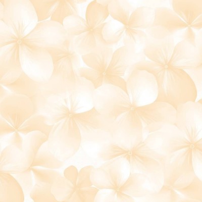 Обои Andrea Rossi Spectrum Boom 54483-4