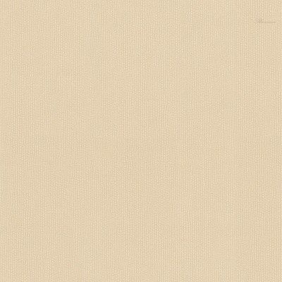 Обои Blumarine Blumarine 6 31055BM