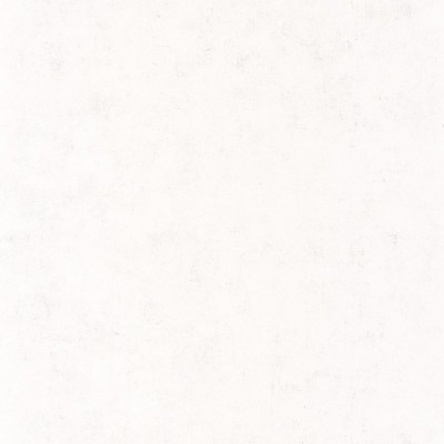 Обои Caselio Beton 101480000