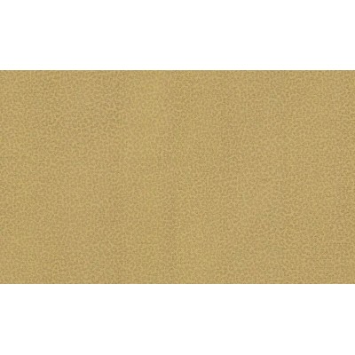 Обои Roberto Cavalli Home 8 RC19017