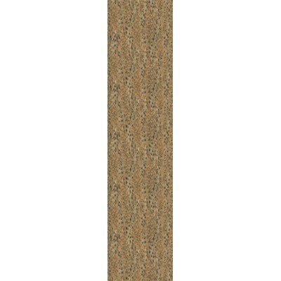 Обои Roberto Cavalli Home 3 14126