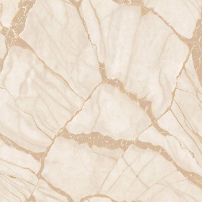 Обои Zambaiti Phillip Plein 2 Z81040