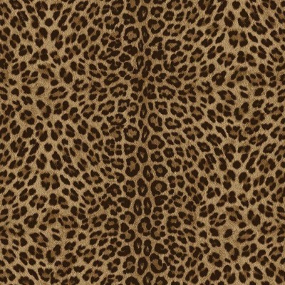 Обои Zambaiti Phillip Plein 2 Z81029